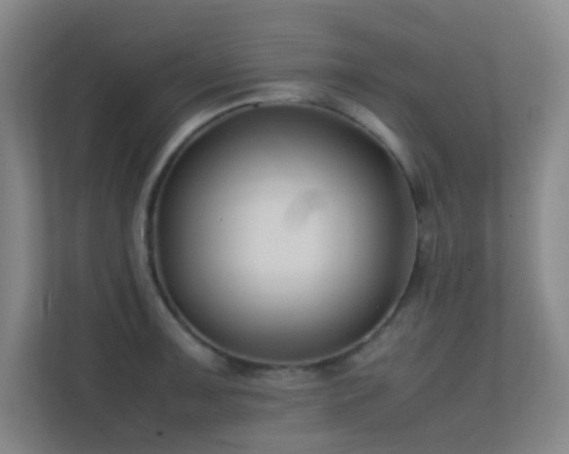 X0000113871091200909241327