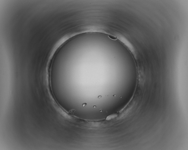 X0000113871096200909241327