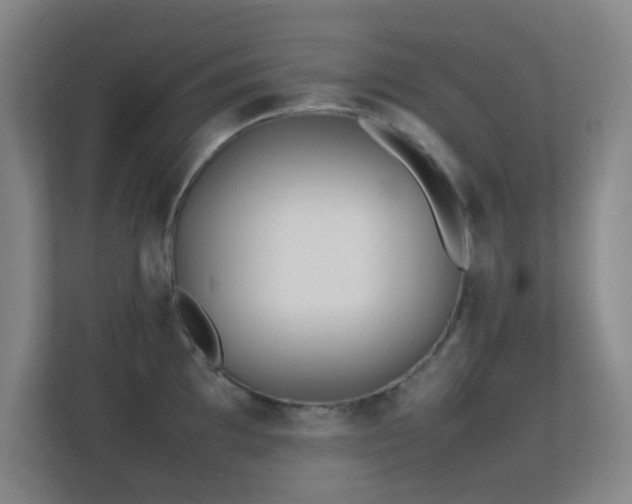 X0000113871097200909241327