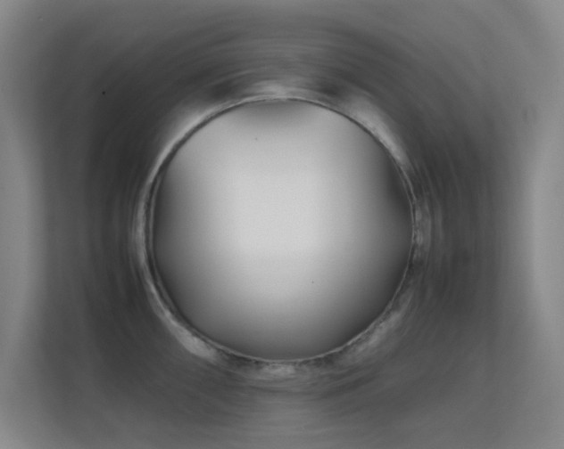 X0000113871098200909241327