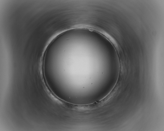 X0000113871102200909241327
