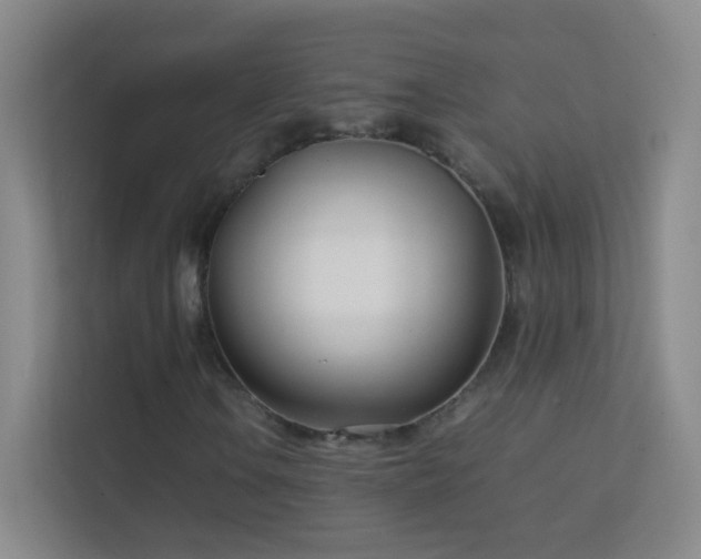 X0000113871106200909241326