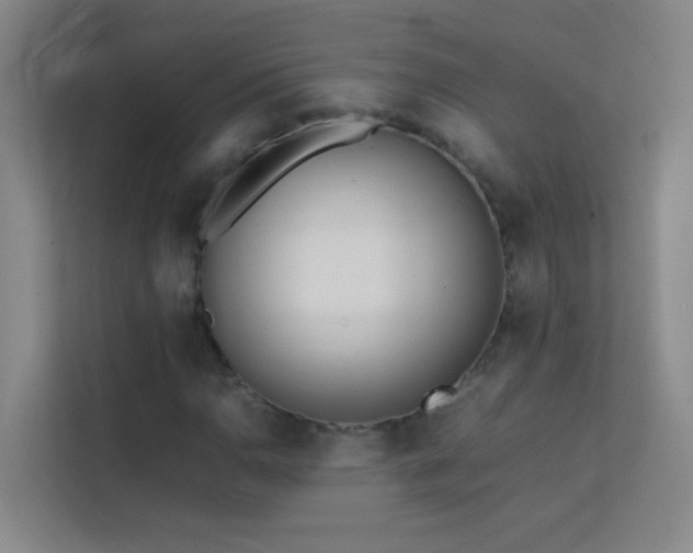 X0000113871110200909241326