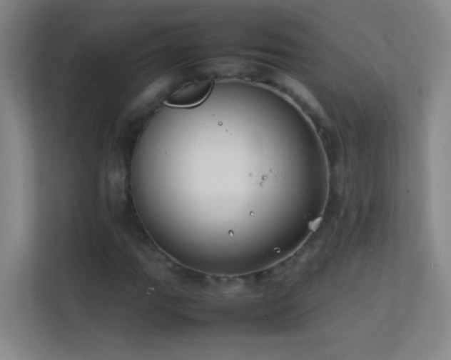 X0000113871111200909241326