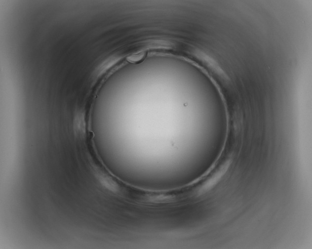 X0000113871113200909241326