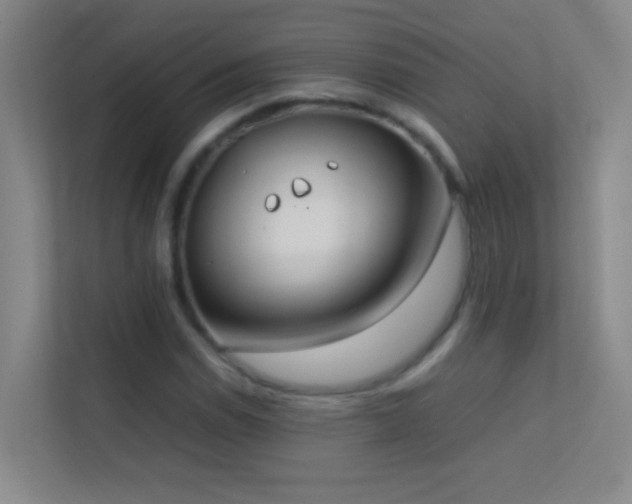 X0000113871114200909241326