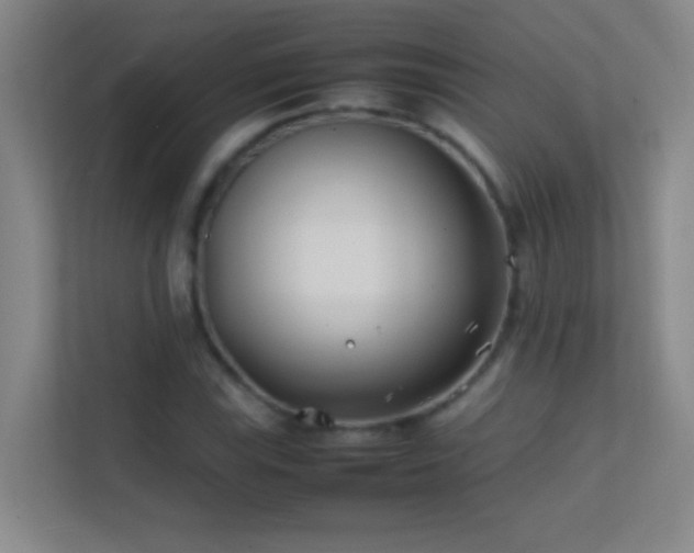 X0000113871115200909241326