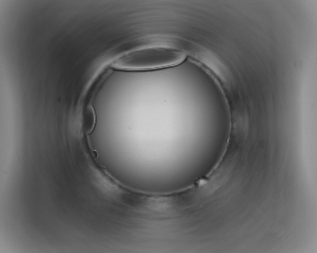 X0000113871116200909241326
