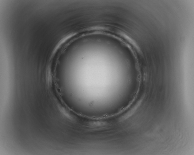 X0000113871117200909241326