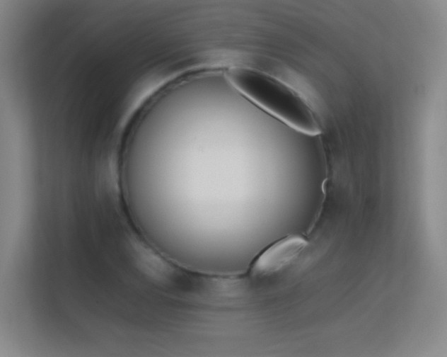 X0000113871120200909241326
