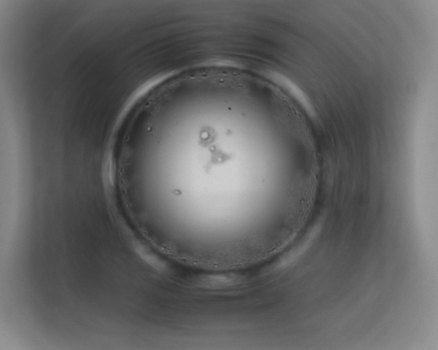X0000113871125200909241327