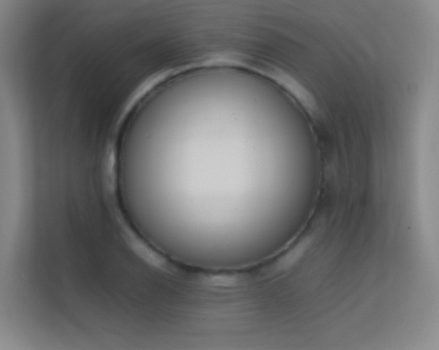 X0000113871126200909241327