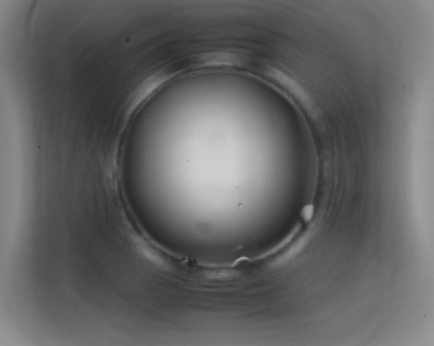 X0000113871129200909241327