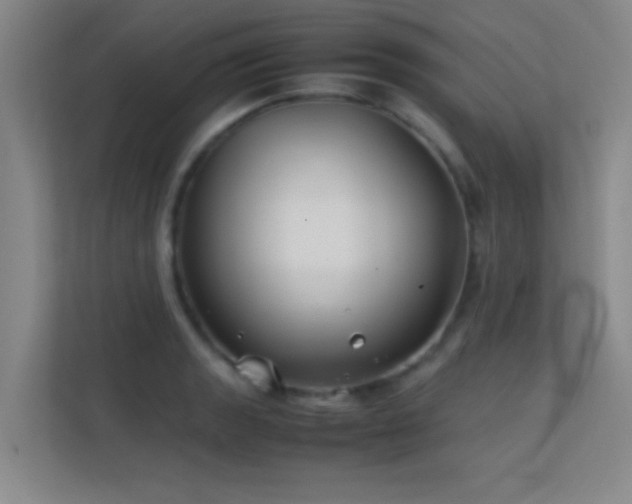 X0000113871133200909241327