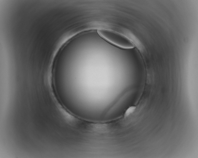 X0000113871136200909241327