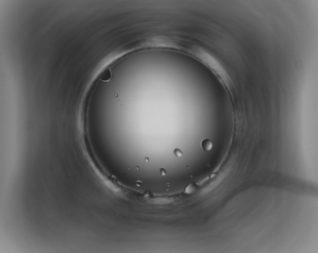 X0000113871141200909241327