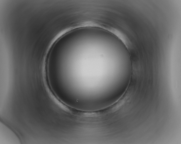 X0000113871142200909241327