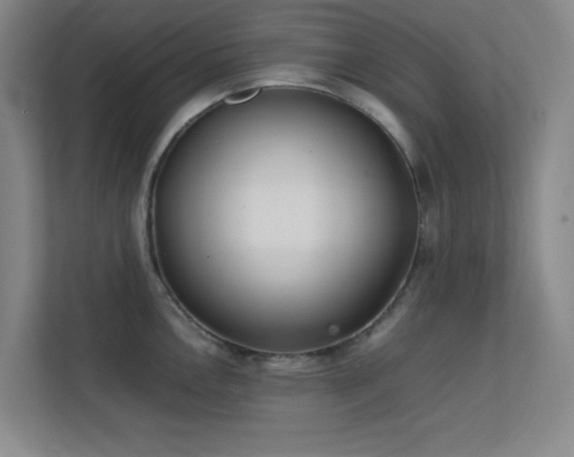 X0000113871146200909241327