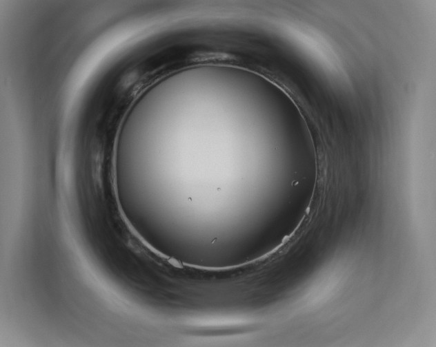 X0000113871151200909241327