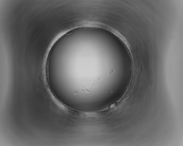 X0000113871152200909241327