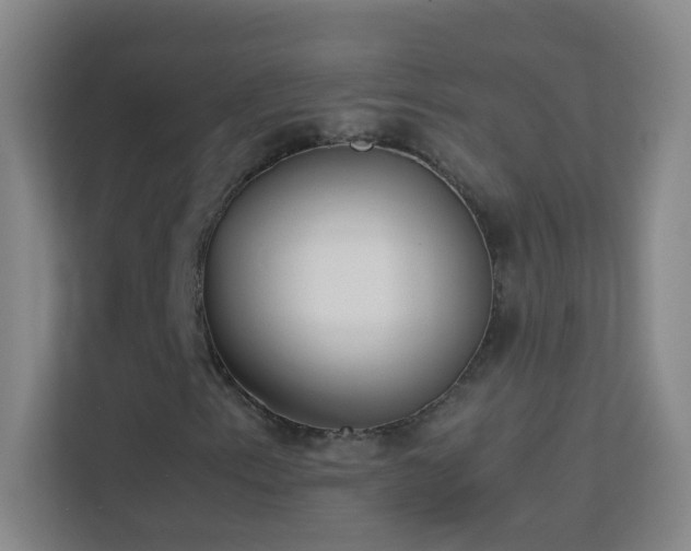 X0000113871153200909241326