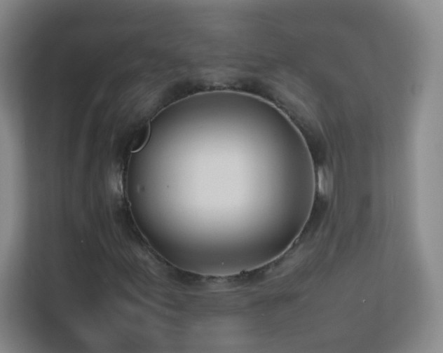 X0000113871155200909241326