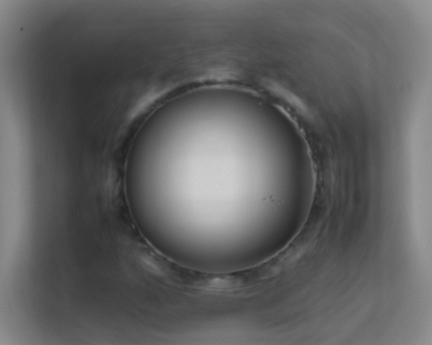 X0000113871160200909241326