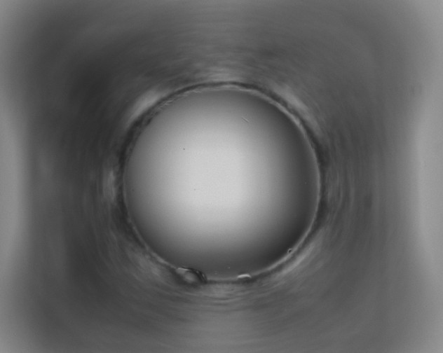 X0000113871163200909241326