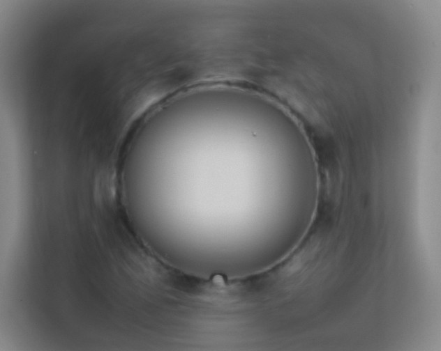 X0000113871165200909241326