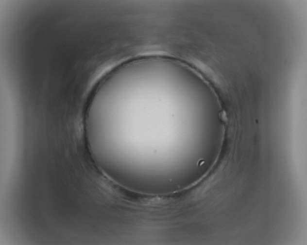 X0000113871167200909241326