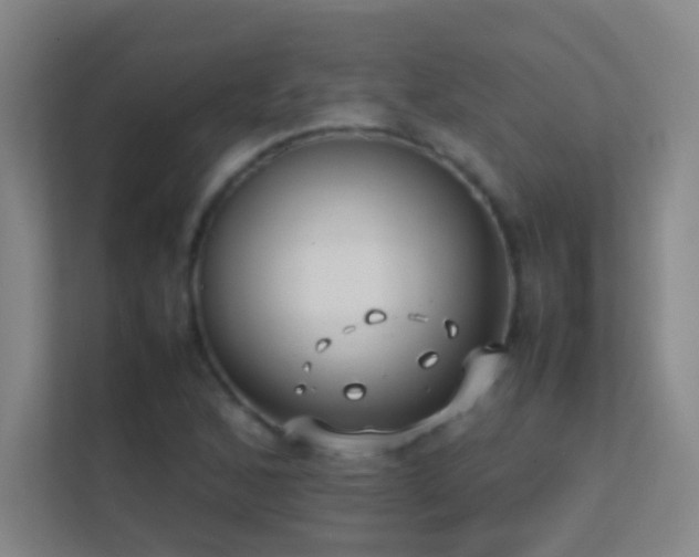 X0000113871168200909241326