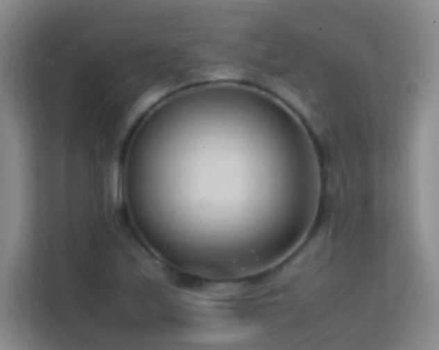X0000113871171200909241326