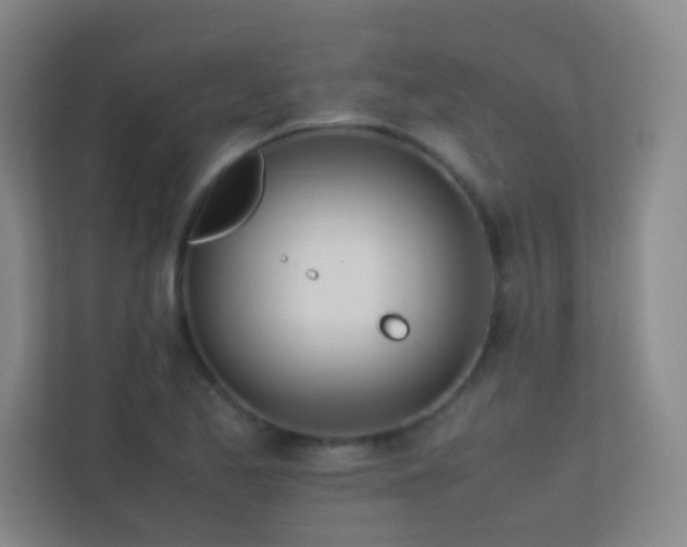 X0000113871173200909241326