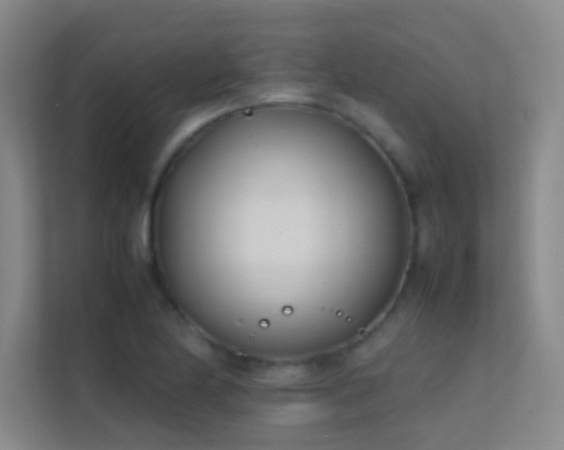 X0000113871174200909241326