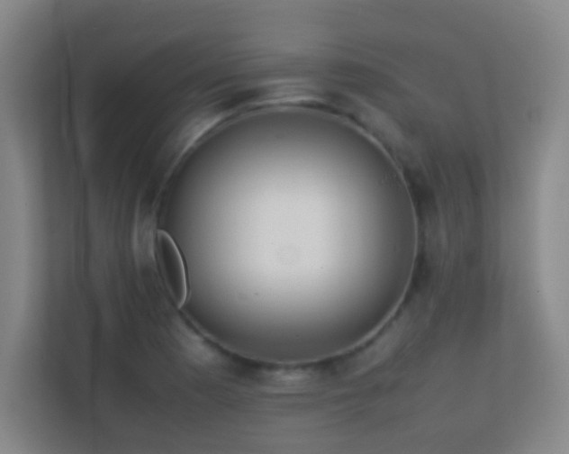 X0000113871177200909241326