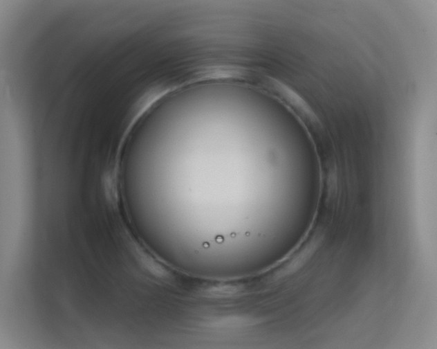 X0000113871178200909241326