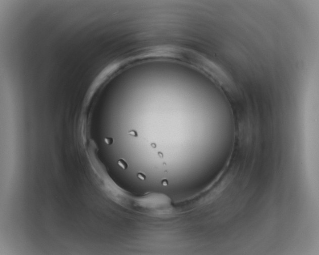 X0000113871180200909241326