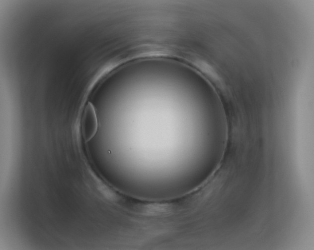X0000113871181200909241326