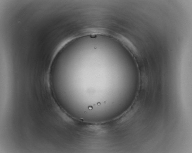 X0000113871182200909241326