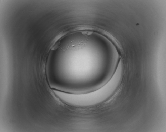 X0000113871185200909241326