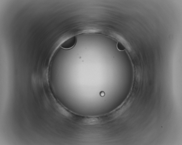 X0000113871186200909241326