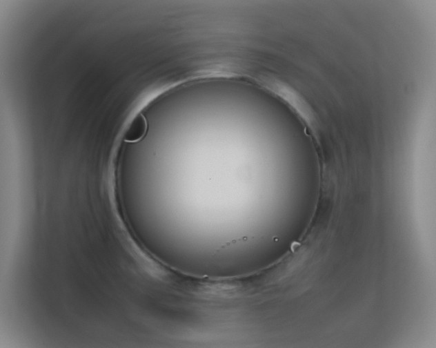 X0000113871187200909241326