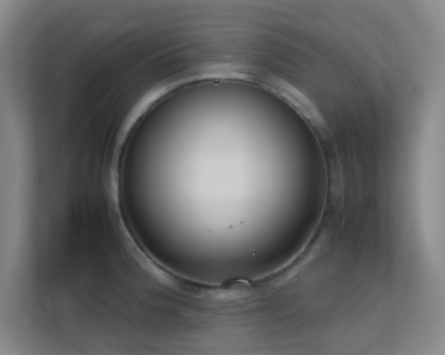 X0000113871188200909241326