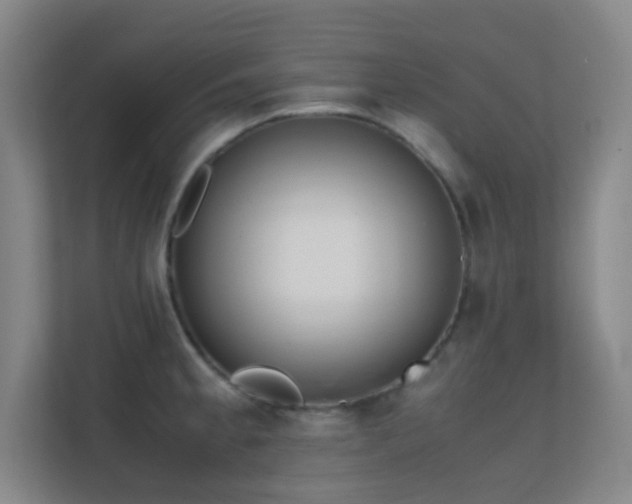 X0000113871189200909241326