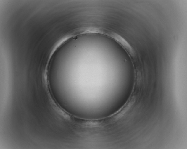 X0000113871190200909241326