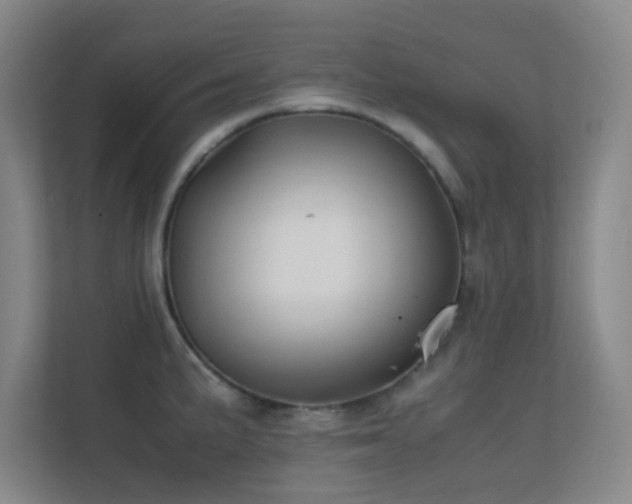 X0000113871191200909241326