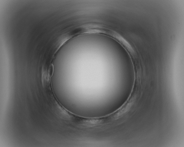 X0000113871193200909241326