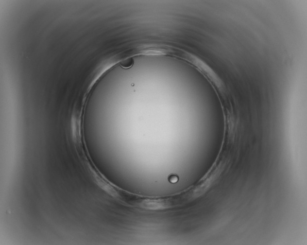 X0000113871194200909241326