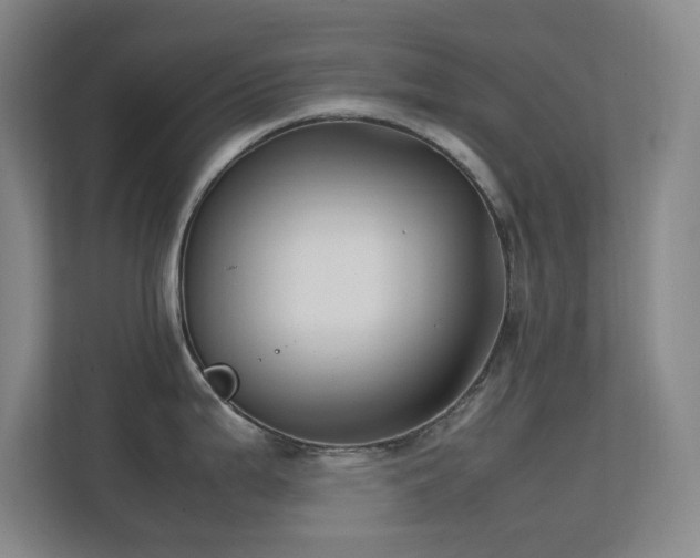 X0000113871199200909241326