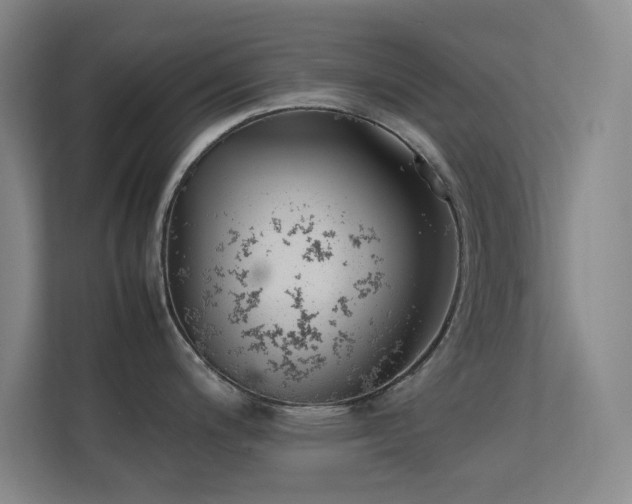 X0000113871200200909241326